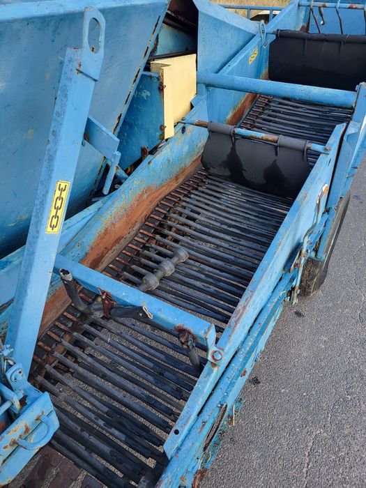 Kombajn zbieracz do ziemniaków cebuli Bolko Z 643 Anna zbieraczka   Bolek