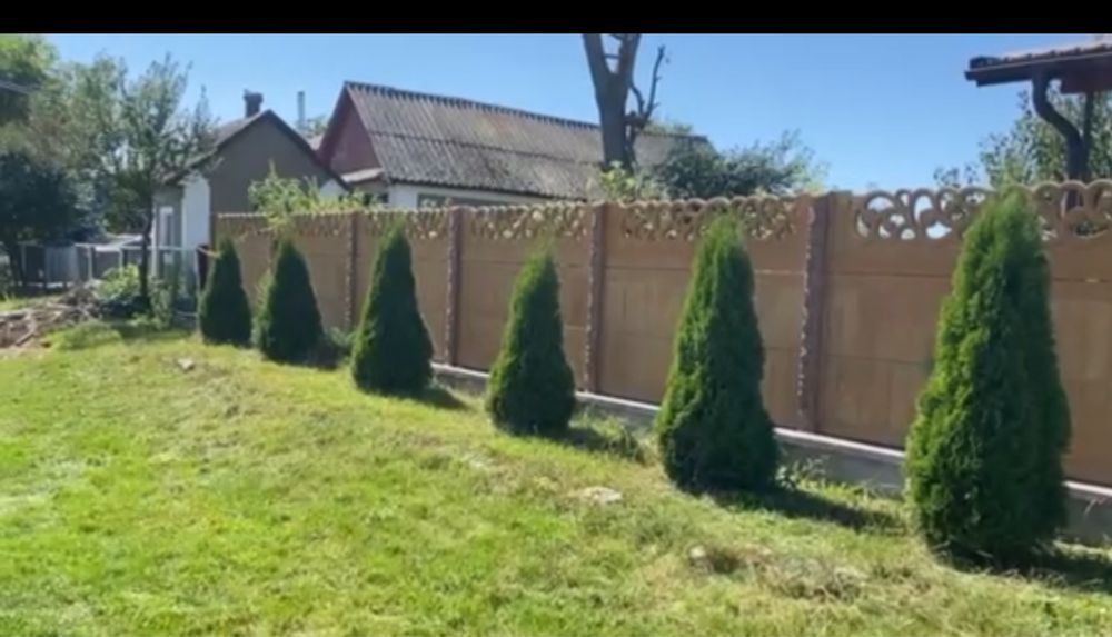 Продам  будинок в Писарівці