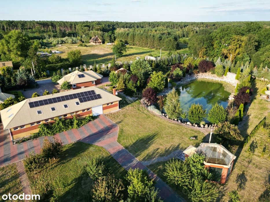 Dwa domy, siedlisko ze stawem i halą, wśród lasu