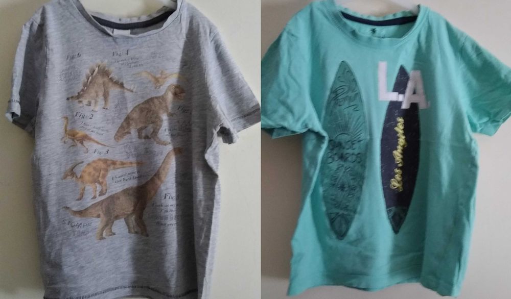 Pack de 11 t-shirts menino