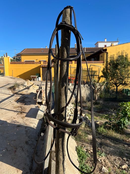 Cabecada de bridao