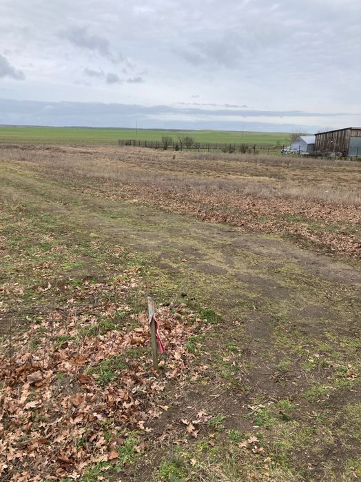 Działka w Góralicach