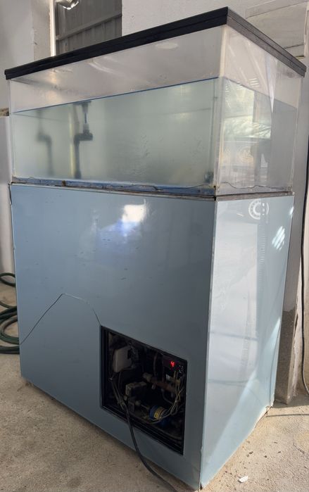 Aquario para marisco e peixe