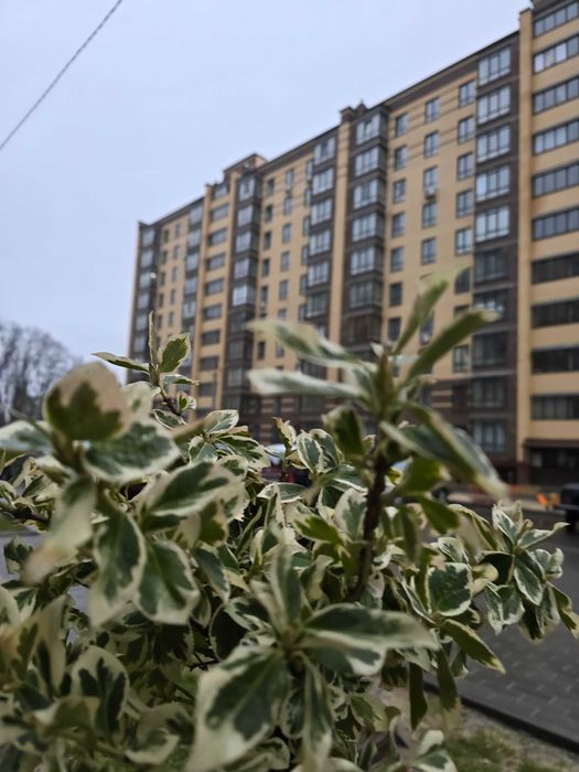 Масани | Лісовий-2 |Топ ціна | 70м² | 7поверх | Неймоівне планування