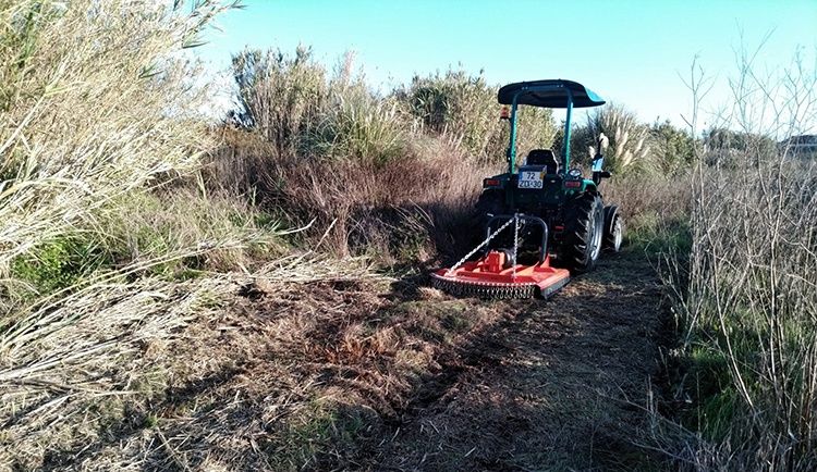 Limpeza terrenos e serviços agricolas