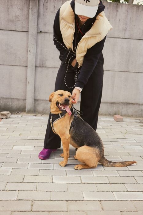 Dwupak Iwo i Dejzi czekają na wspólny dom