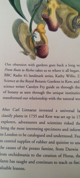Plants from roots to Riche Willis, Fry Murray KEW Garden ogród rośliny angielski