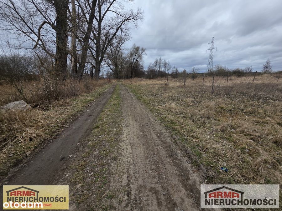 Działka Budowlana W Żarowie