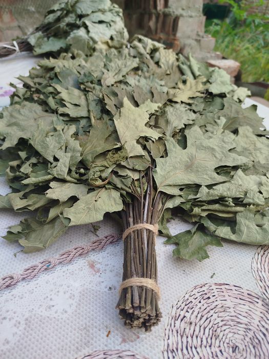 ДУБОВИЙ ВЕНІК. ГУРТ. Венік для сауни бані. Веник дубовый.