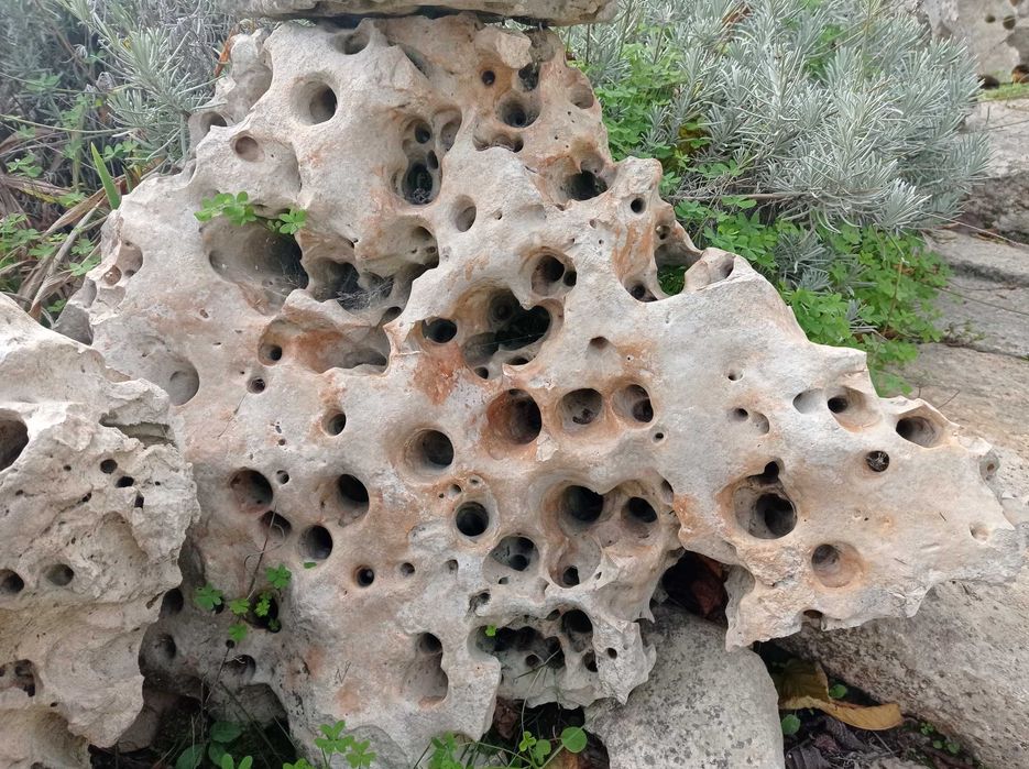 Pedras para decoração de jardim