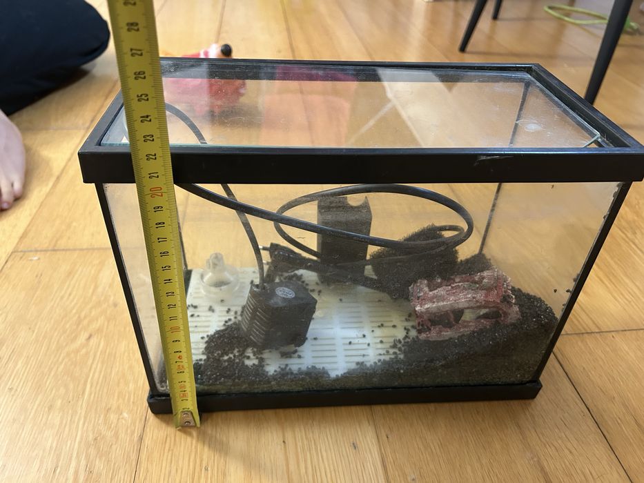 Aquario peixes agua fria