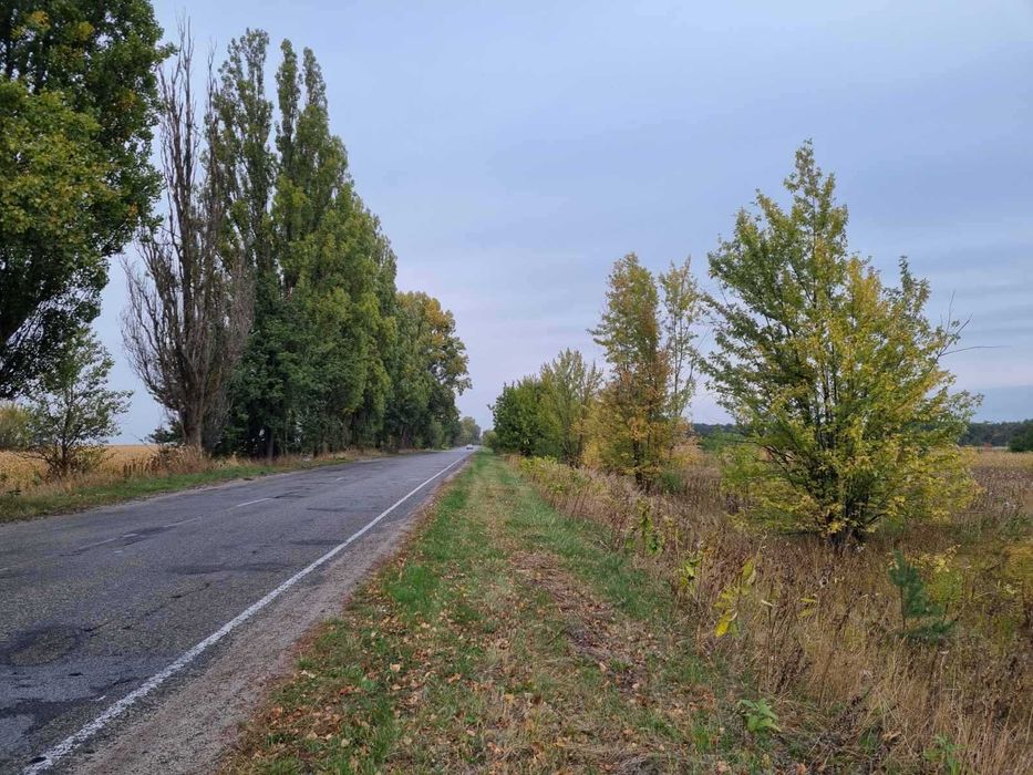 Стайки дві земельні ділянка рядом площею 0,3233га кожна