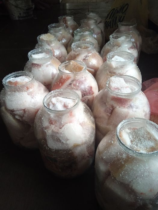 Продам сало свіжо солене