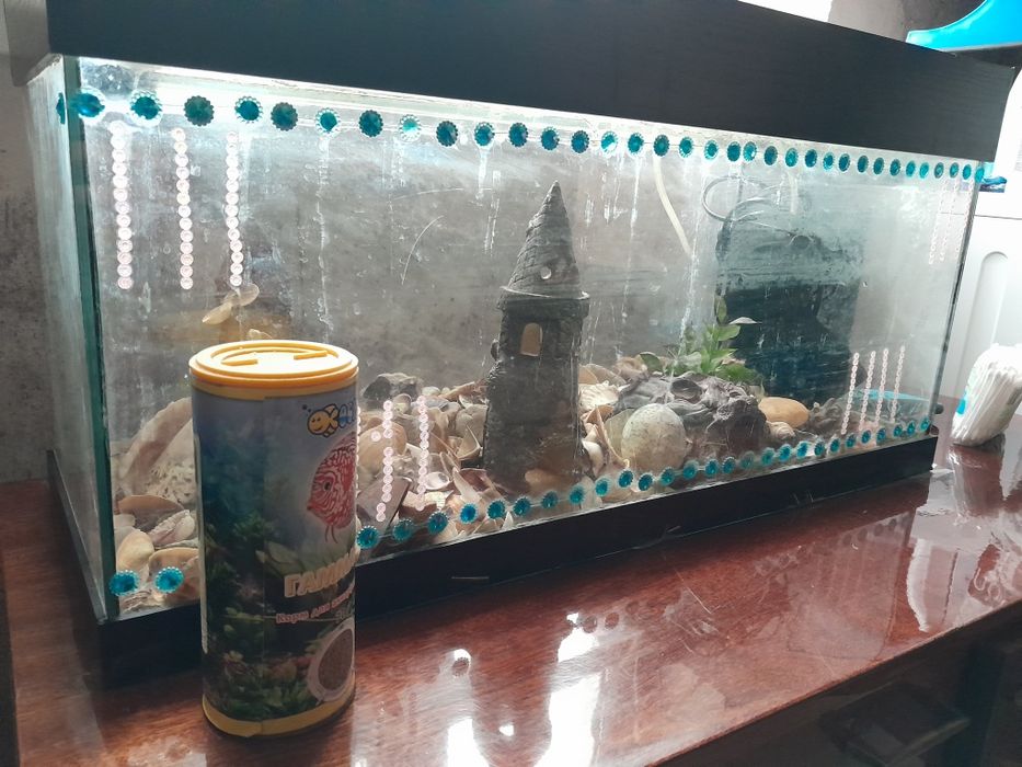 Продам акваріум з усим що в ньому є.