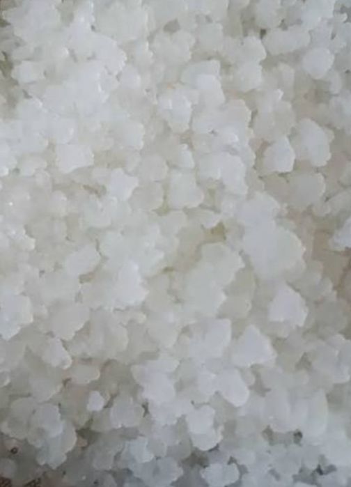 Индийский морской рис