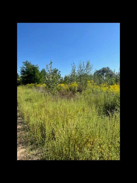 Продаж ділянки  0,36 м. Чернівці, вул. Сумська