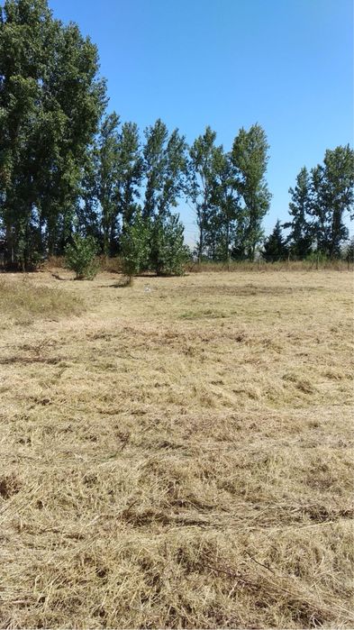 Aluguer Terreno na N5 Montojo/Alcochete - 0,53ha