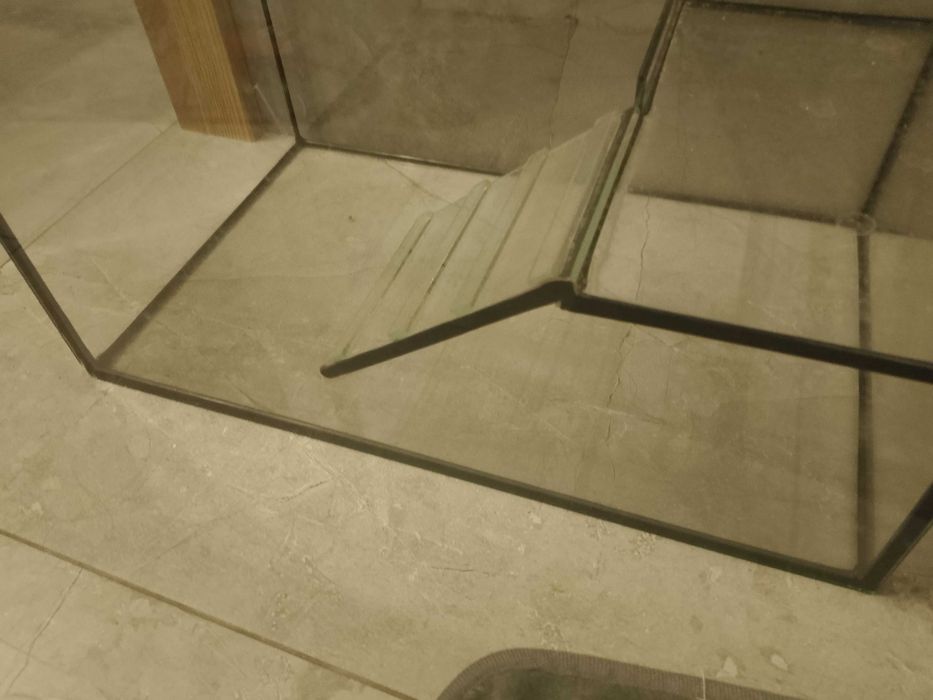 Akwarium dla żółwia