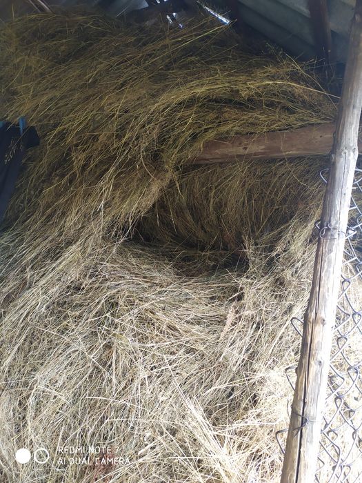 Продам Сіно укос 2023-2024року