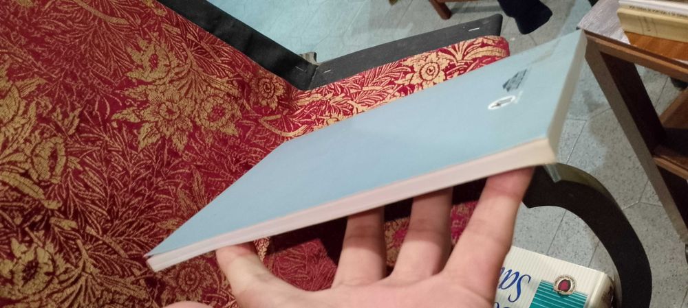 Contos Soltos - André Vilaça