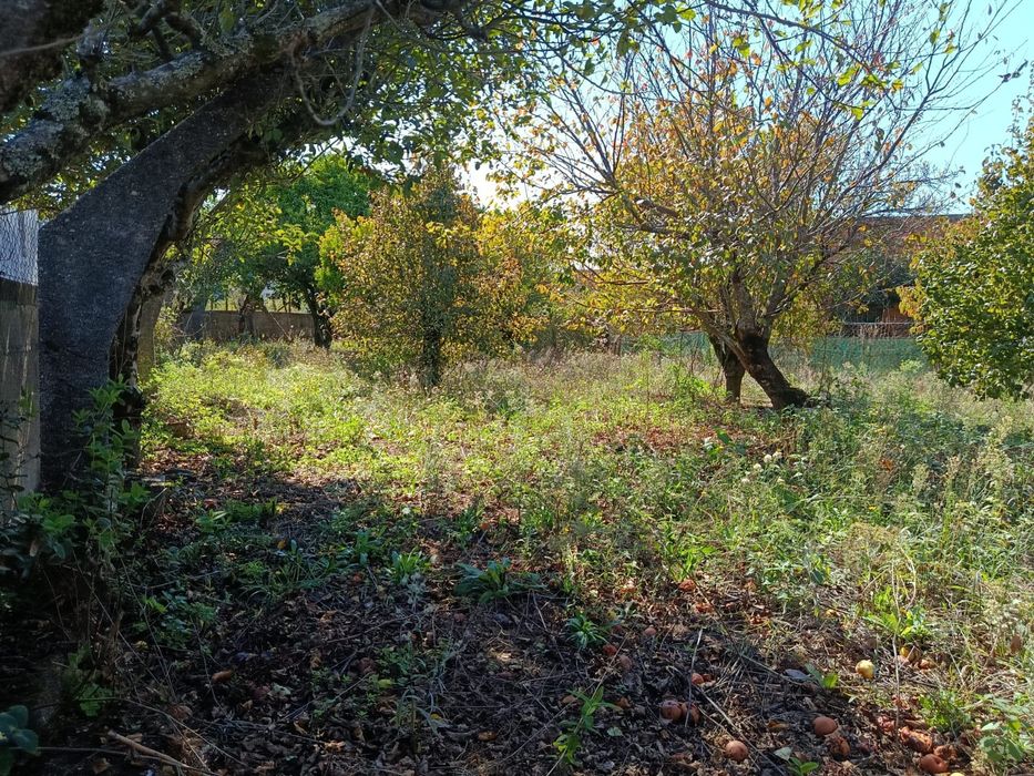 Moradia Independente T6 em Travanca- Santa Maria da Feira