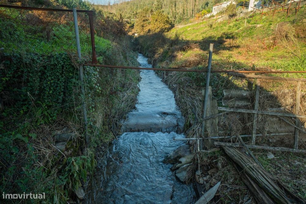 Terreno em Macinhata do Vouga