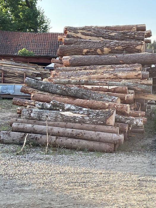 Kłoda sosnowa różne wymiary
