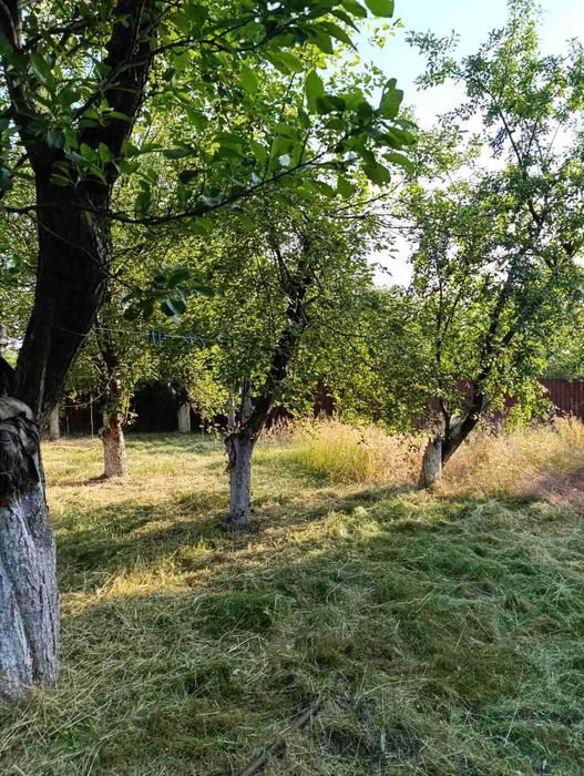 Продам дом -дачу Днепропетровская обл.