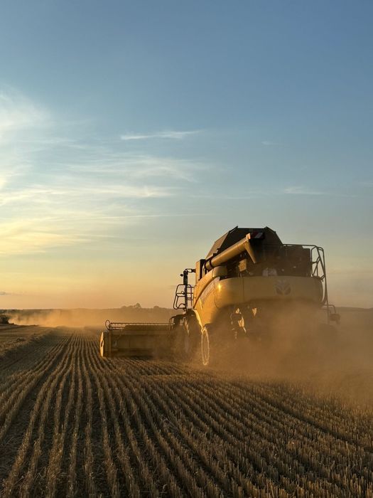 Słoma pszeniczna, żytnia, owsiana, siano, pasza, kulki, bele, kostka