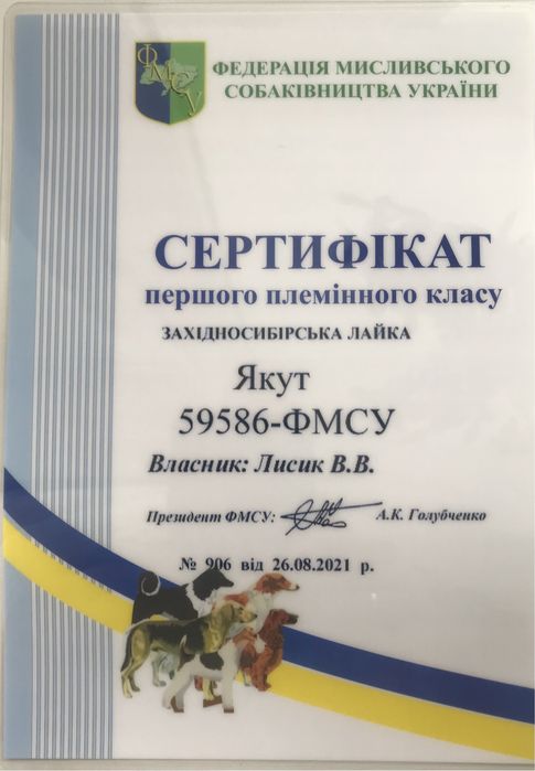 Пропоную кобеля для в‘язки.