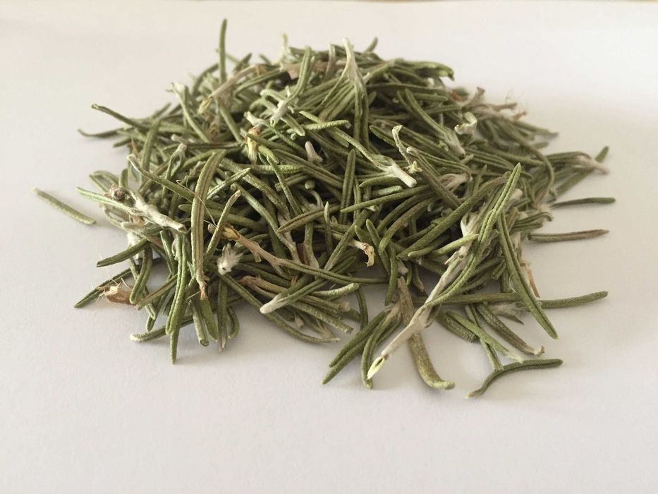 Alecrim Rosmarinus officinalis Planta Viva - Évora