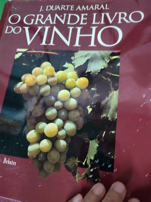 Livro o grande livro do vinho