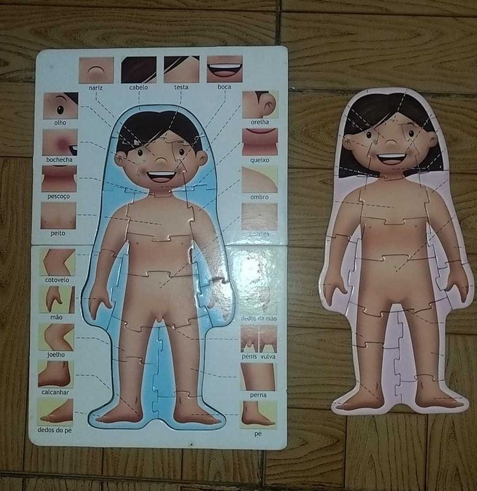 Jogo didático sobre o corpo humano, números e abecedário EDUCA