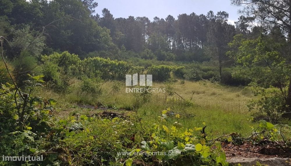 Venda Terreno, vista desafogada, Ovil, Baião