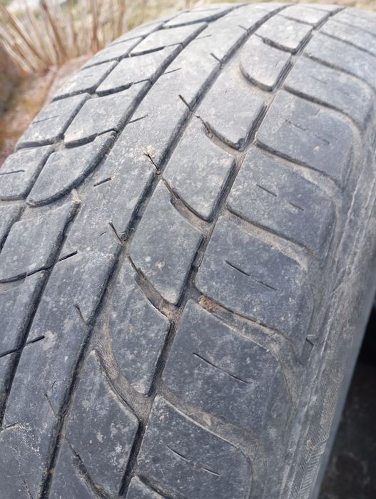 Шини r-15/195/60 Barum,Diplomat,літо,розпаровка,одиночка