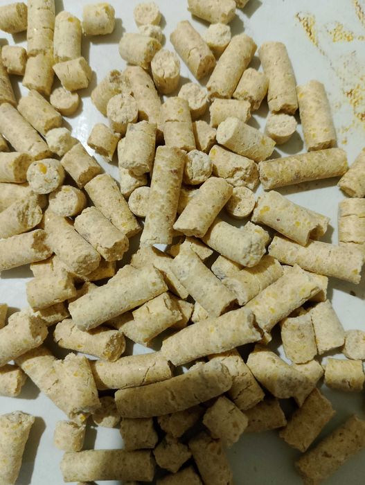 Kukurydza granulowana pasza dla drobiu królików bydła trzody