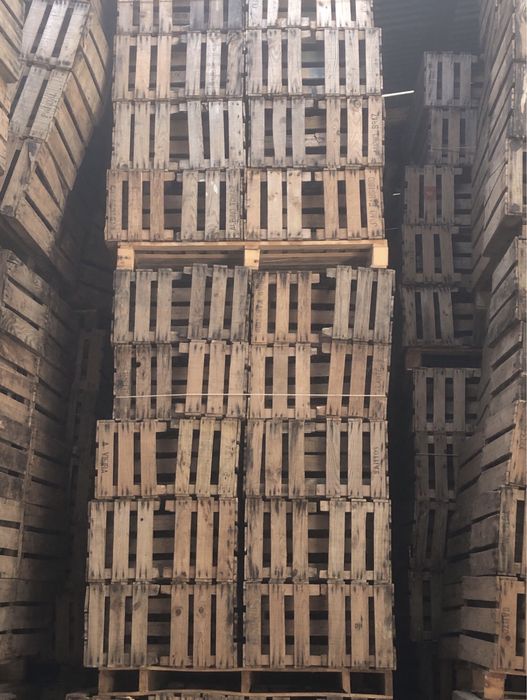 Caixas de fruta antigas/ decoração