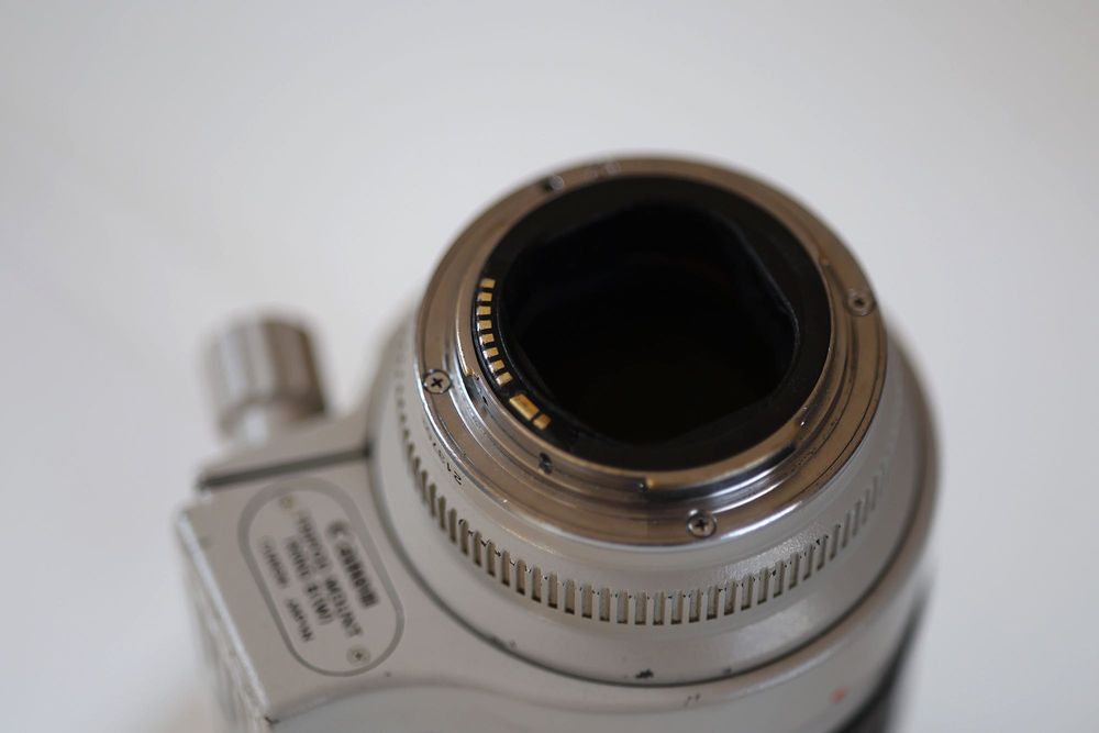 Canon 70-200 L F/2.8