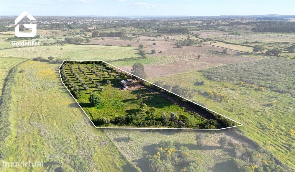 Quintinha  Venda em Escalos de Cima e Lousa,Castelo Branco