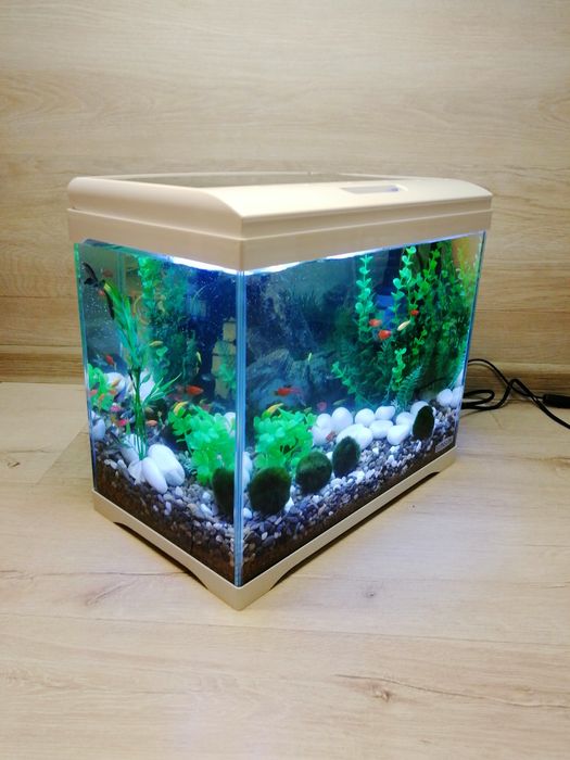 ЧУДОВИЙ ПОДАРУНОК | АКВАРІУМ з рибками SunSun 18л "Під ключ"