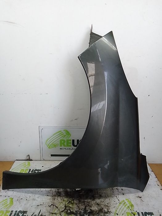 Guarda-lamas esquerdo PEUGEOT 207 SW (WK_)