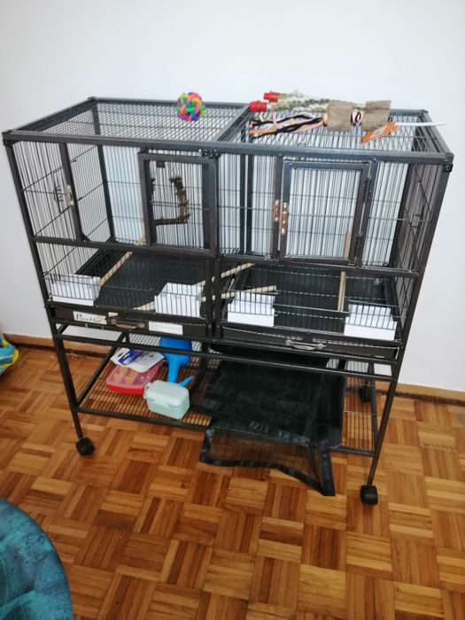 Fonte para pássaros, Rede de escalada para pássaros