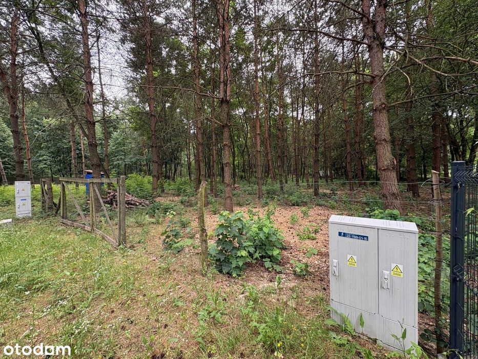 Działka budowlana 1505 m² , ogrodzona, prąd, Wężyk, gmina Grodzisk Maz