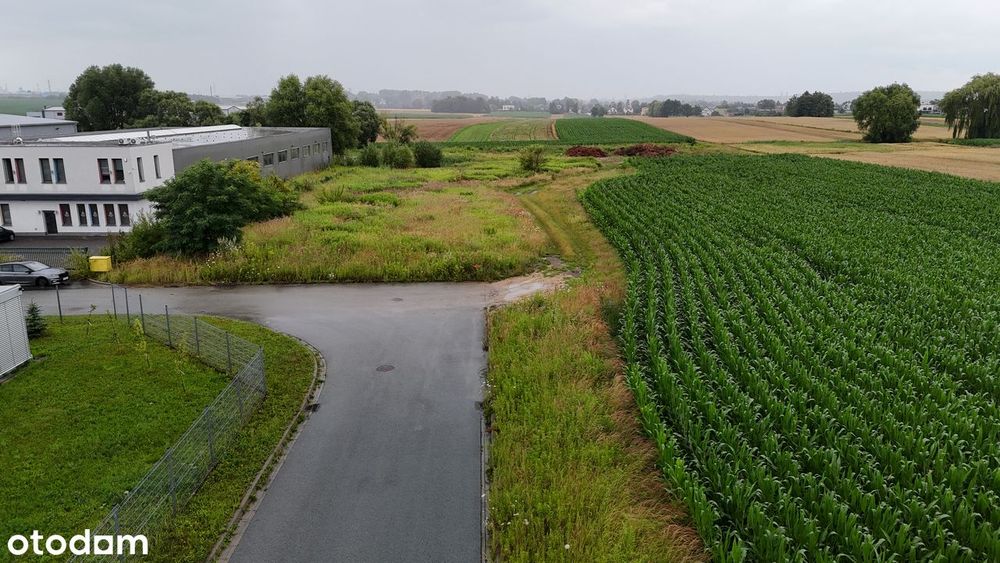 syndyk sprzeda działkę inwestycyjną