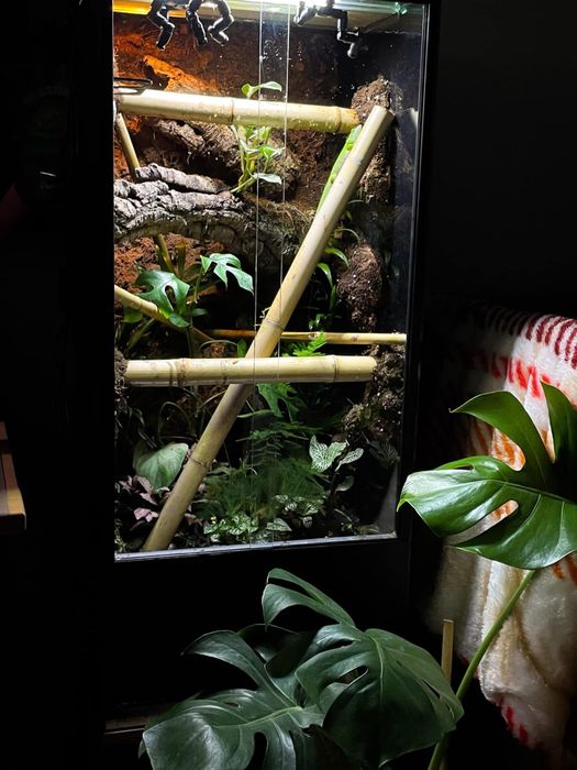 Terrarium NA ZAMÓWIENIE dla gekona, pająka, żab i inne