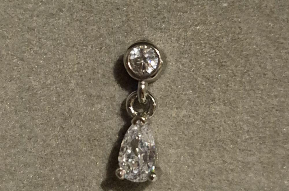 Brincos Prata Lotus Silver