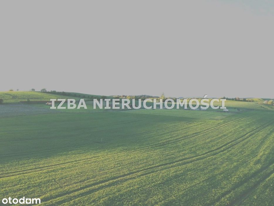 Działka, Mącze