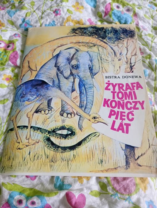 Żyrafa Tomi kończy pięć lat