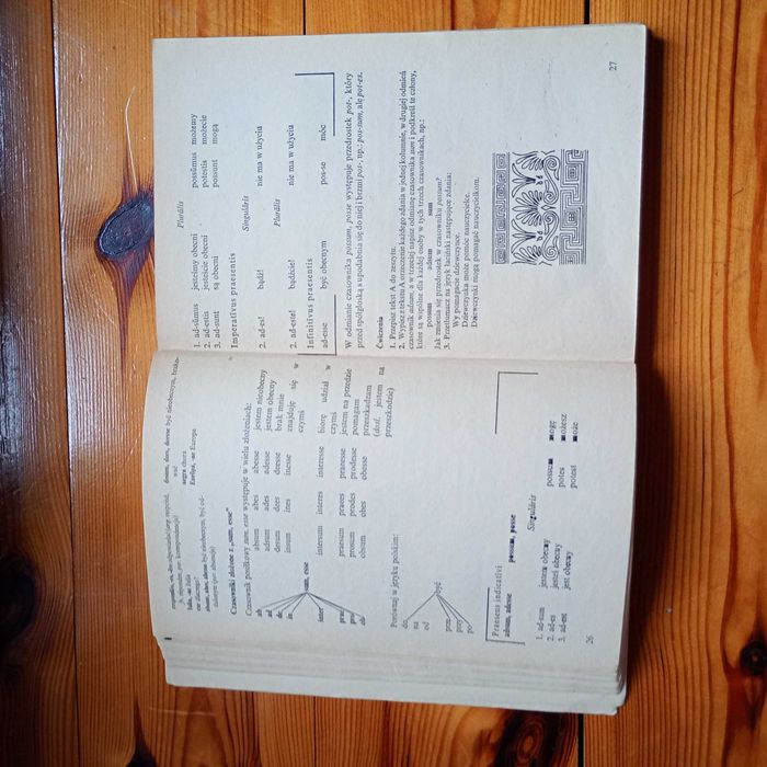 Lectio Latina Wilczyński, Zarych