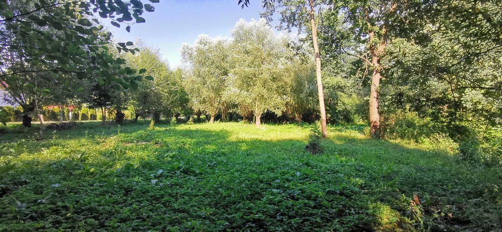 Działka 38 arów – Damienice, gmina Bochnia | Spokojna okolica | Duży potencjał - Widok 3